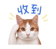 845437694