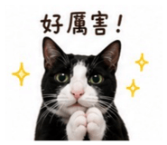 845437793