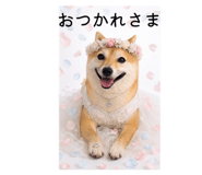 845437994