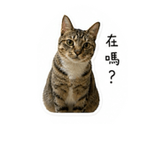 845438520