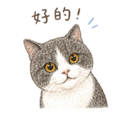 845440469