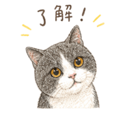 845440474