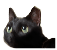 845440599