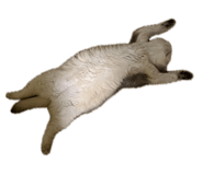 845440601