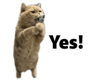 845440612