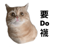 845440617