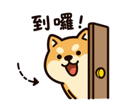 845441925