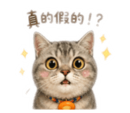 845442917