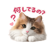845443277