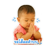 845443309