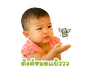 845443313