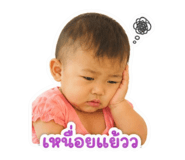 845443317