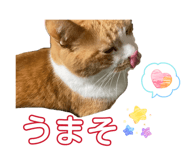 845443363