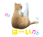 845443364