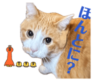 845443365