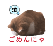 845443367