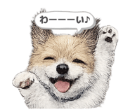 845443563