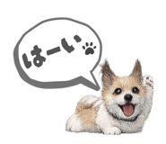 845443565