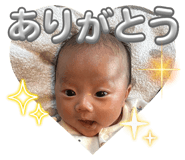 845443601