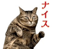 845443704