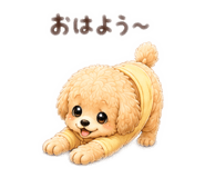 845443753
