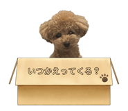 845443990