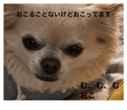 845444134