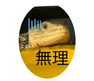 845444277