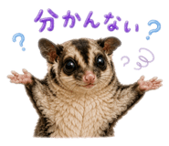 845444299