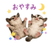 845444320