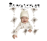 845444380