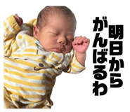 845444520