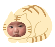 845444694