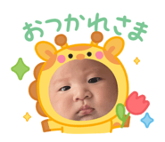 845444699