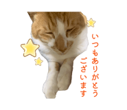 845444703