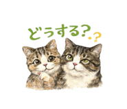 845444774