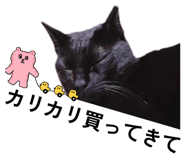 845444800