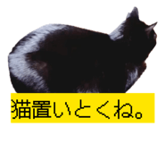 845444801