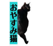 845444806