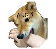 845444969