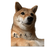 845444970