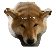 845444971