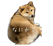 845444972