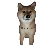 845444973