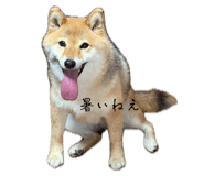 845444975