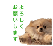 845444979