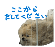 845444983