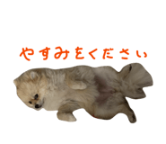 845444984
