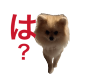 845444986