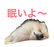 845444987